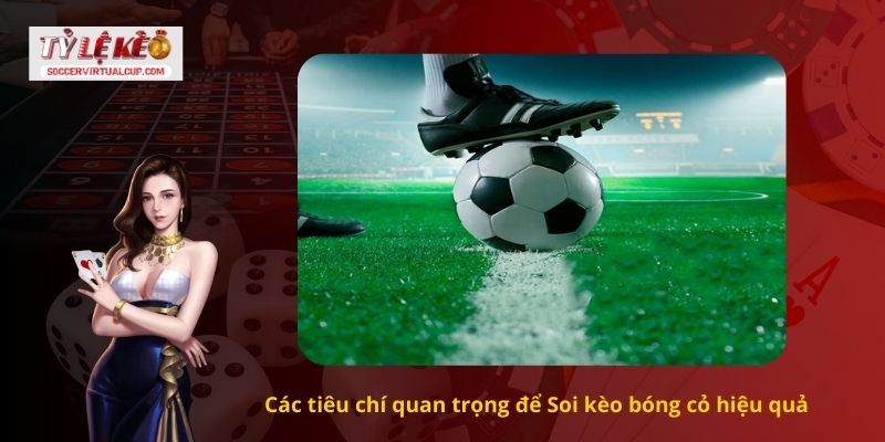Các tiêu chí quan trọng để Soi kèo bóng cỏ hiệu quả